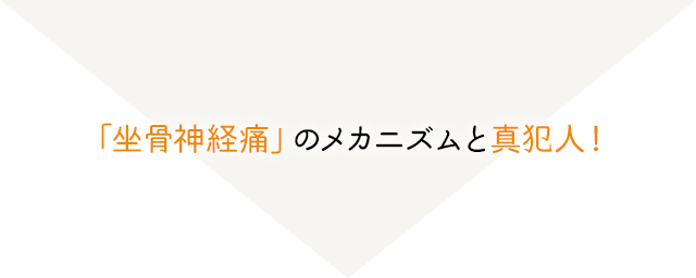 「坐骨神経痛」のメカニズムと真犯人！