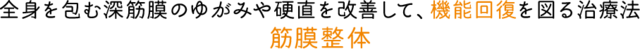 全身を包む深筋膜のゆがみや硬直を改善して、機能回復を図る治療法 筋膜整体